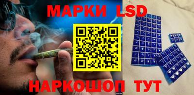 индика Нальчик