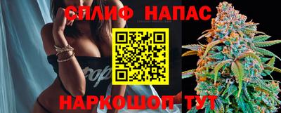 индика Нальчик