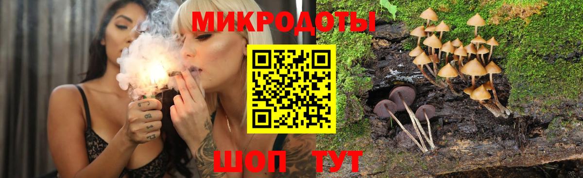 Галлюциногенные грибы мухоморы Скопин